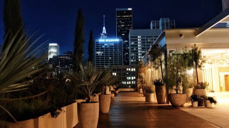 Savanna Rooftop3 768x432