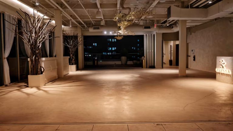 Savanna Rooftop4 768x432